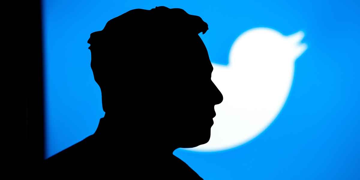 Start-up : naviguer dans le nouvel univers de Twitter